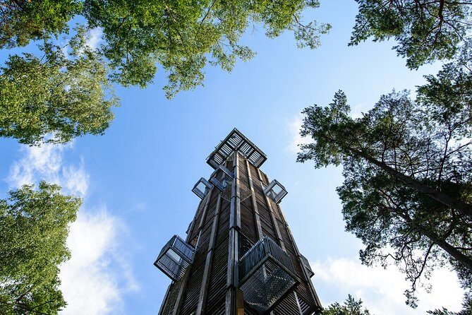 Bogs and Resorts in Jrmala - Exploring Kemeri National Park