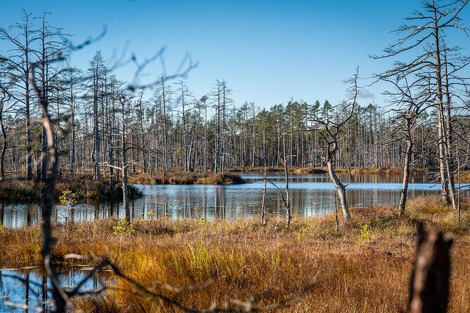 Bogs and Resorts in Jrmala - Strolling Along Jomas Street