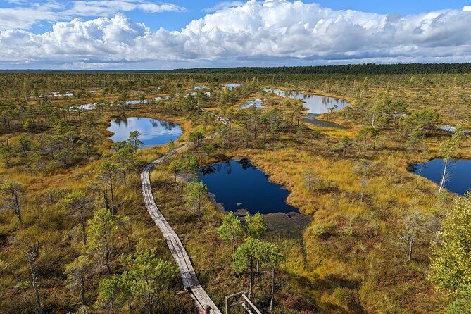 Bogs and Resorts in Jrmala - Practical Details and What to Expect