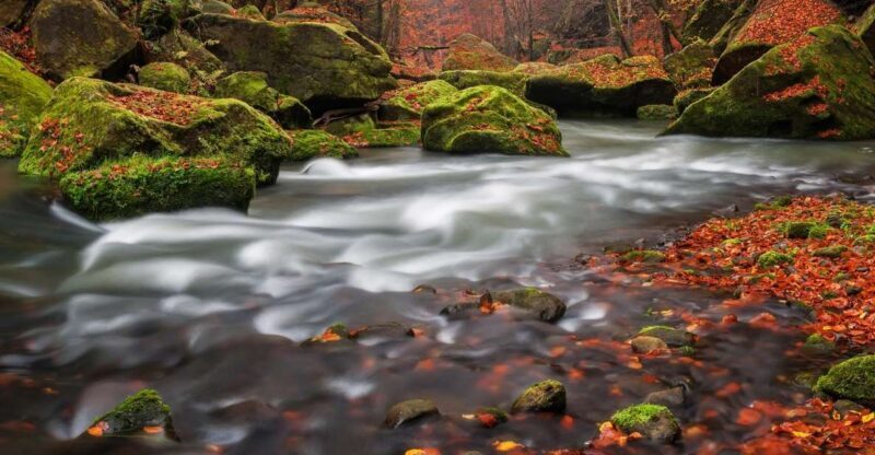 Bohemian Switzerland: Private Day Trip from Prague - Final Thoughts