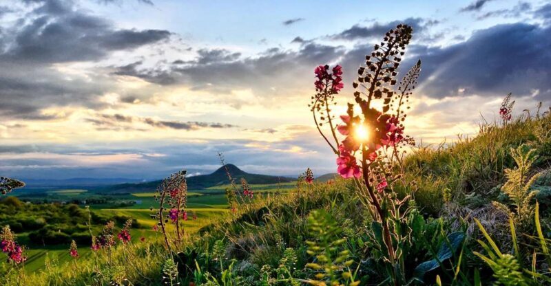 Bohemian Uplands: Garnet panning, Farm & Local Lunch&Beer - What’s Included & Practical Details