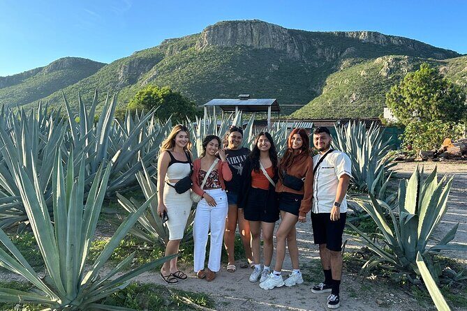 Boil Water,Tube Tree,Mitla,Mezcal and Teotitlan Valley - Who is This Tour Best For?