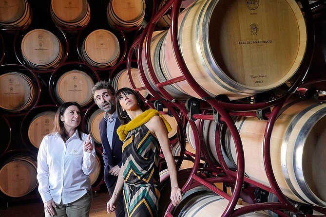 Bolgheri: Premium Wine Tasting with Winery Tour - Introduction