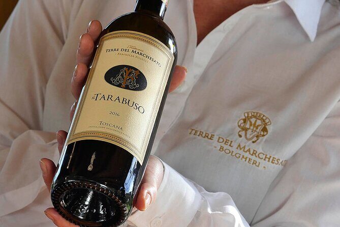Bolgheri: Premium Wine Tasting with Winery Tour - The Wine Tasting and Olive Oil Experience