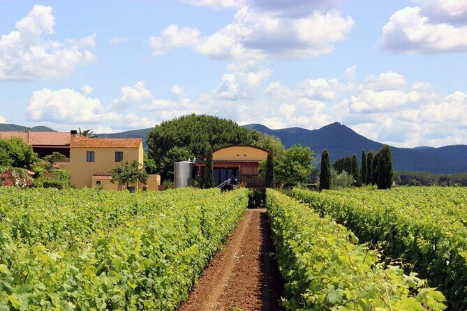 Bolgheri: Premium Wine Tasting with Winery Tour - Frequently Asked Questions
