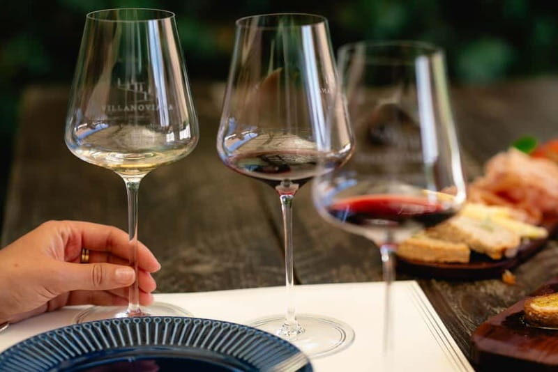 Bolgheri: Tour with wine tasting at Villanoviana - The Setting and Atmosphere