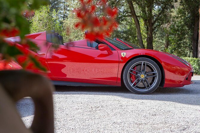 Bolgheri / Volterra / Florence-Tour in Ferrari - What the Tour Includes and What You Should Know