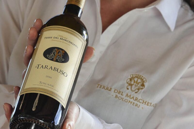 Bolgheri: Winery Tour with Wine Tasting - Accessibility and Practical Tips