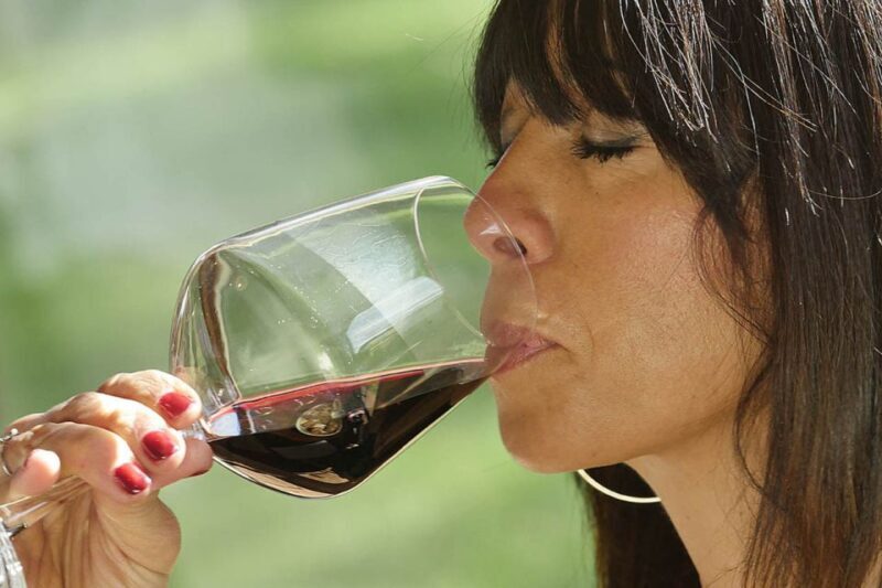 Bolgheri: Winery Tour with Wine Tasting - Who Will Love This Tour?