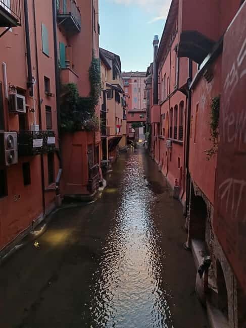 Bologna by night: food, wine and gelato with a local - Who Should Consider This Tour?
