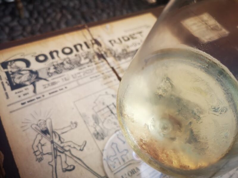 Bologna: City Center Guided Wine Walking Tour - The Value of the Tour