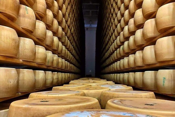 Bologna Food Experience: Factory tours & Family-Style Lunch - The Honest Assessment