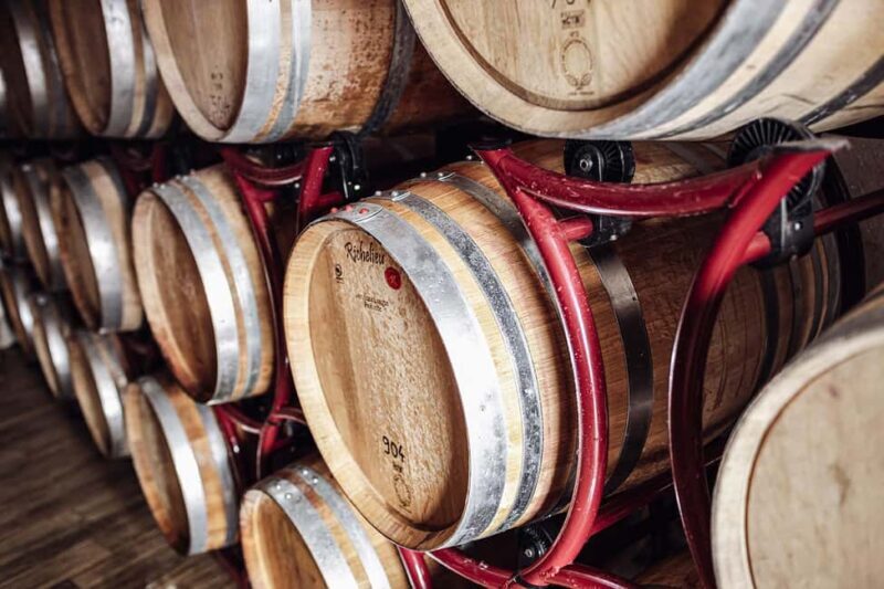 Bolzano: Loacker Wine Experience with Tasting - The Highlight: Tasting at SKYWINE Pavilion