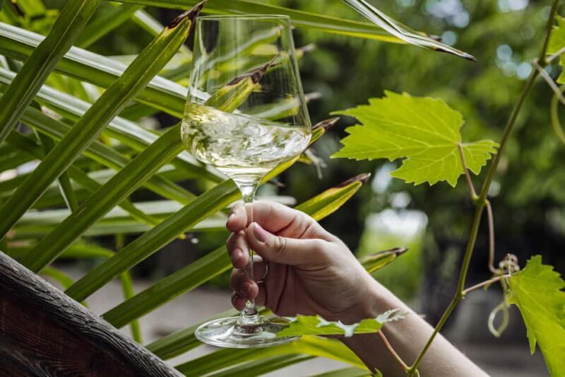 Bolzano: Loacker Wine Experience with Tasting - Practicalities and Group Dynamics