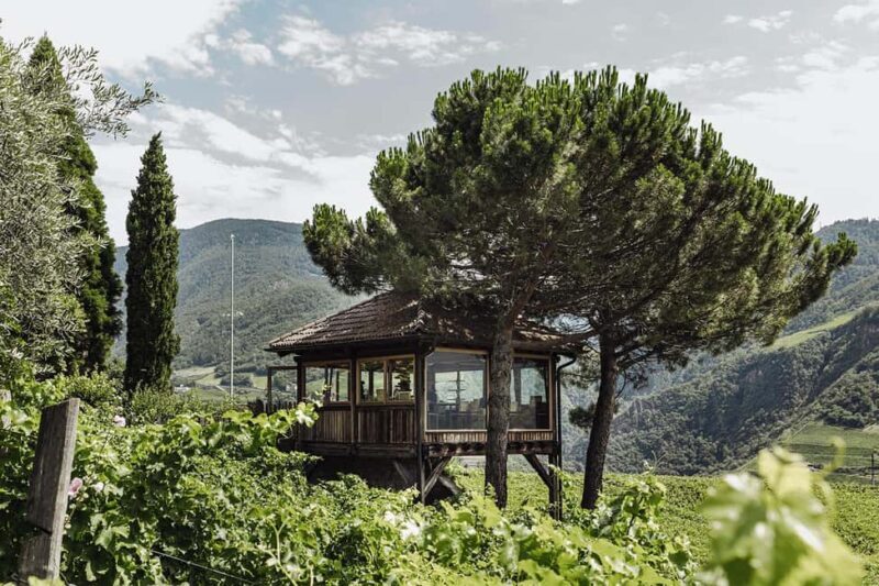 Bolzano: Wine Tasting at SKYWINE Pavilion with Views - Key Points