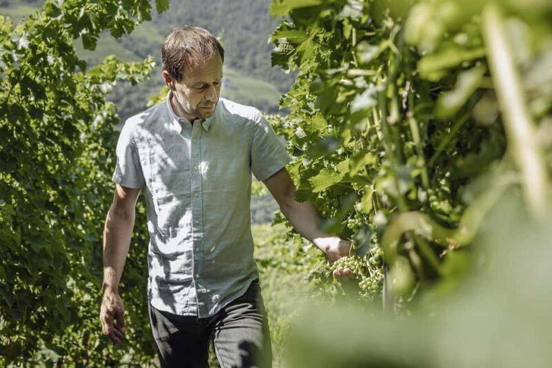 Bolzano: Wine Tasting at SKYWINE Pavilion with Views - Practical Considerations