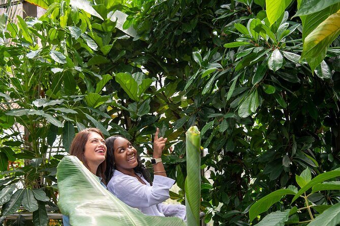 Bombay Sapphire Gin Distillery Tour and Cocktail - FAQs