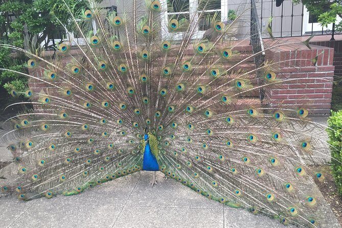 Bon Vivant Woodinville Wine Tasting Tour - The Itinerary in Detail