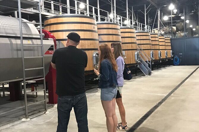 Bon Vivant Woodinville Wine Tasting Tour - Who is This Tour Best For?