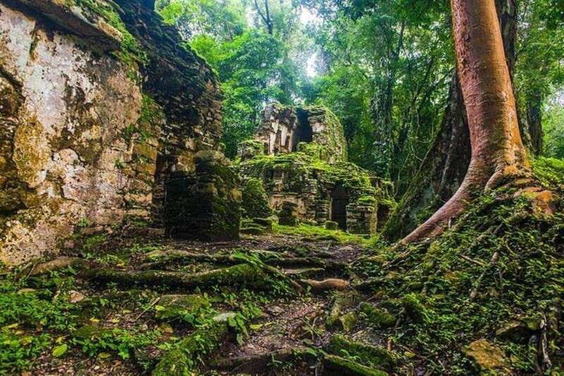 Bonampak & Yaxchilan archaeological sites & jungle - An In-Depth Look at the Tour
