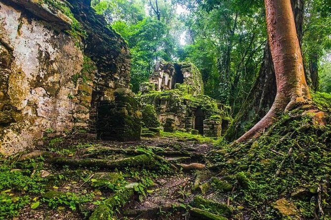 Bonampak & Yaxchilan: Hidden Maya Ruins in the Chiapas Jungle - FAQs