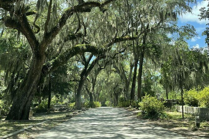 Bonaventure Cemetery History Tour - The Itinerary in Detail