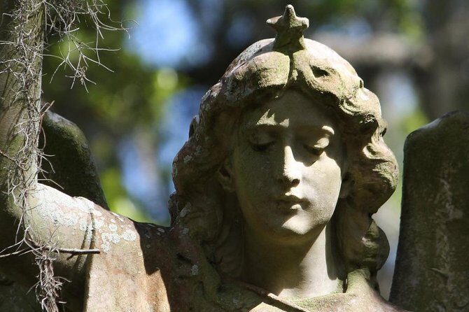 Bonaventure Cemetery Walking Tour with Transportation - Who Should Book This Tour?