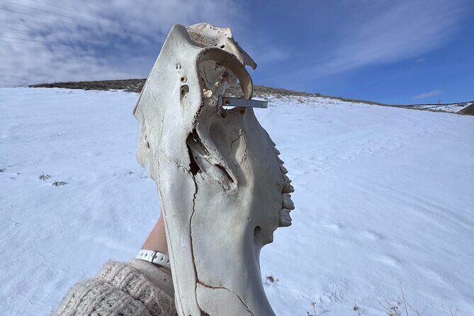 Bone Hunting in Wyoming - The Sum Up