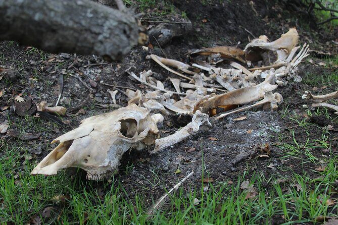 Bone Hunting in Wyoming - FAQ