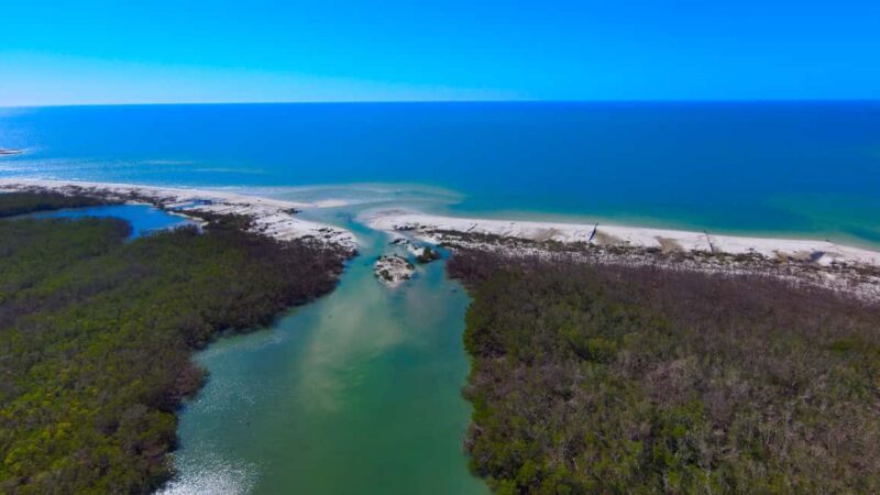 Bonita Springs Clear Kayak Tour with Dolphins & Manatees - Who Should Consider This Tour?