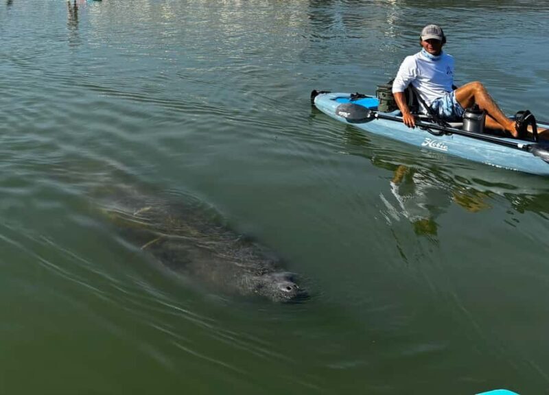 Bonita Springs: Kayak Tour with Manatees, Dolphins Sightings - Final Thoughts: Is This the Right Tour for You?