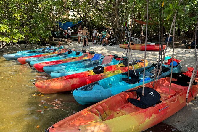 Bonnet House 2 Hour Rental (Paddleboard or Kayak) - FAQ