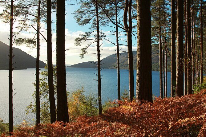 Bonnie Lochs & Bold Whisky Small Group Tour from Edinburgh - What’s the Itinerary Like?