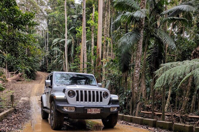 Booloumba Falls & Booloumba Creek Adventure, Conondale Nat. Park - A Closer Look at the Tour Experience