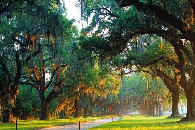Boone Hall Plantation All-Access Admission Ticket - What to Expect from Your Visit