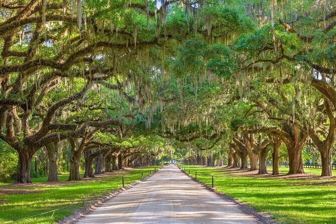 Boone Hall Plantation Day Tour with Transportation - Final Thoughts