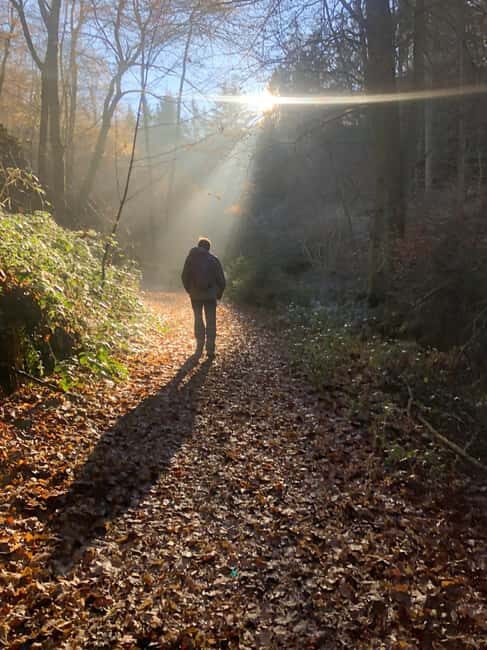 Boppard: Winter hike with punch and gingerbread - An Honest Look at the Boppard Winter Hike