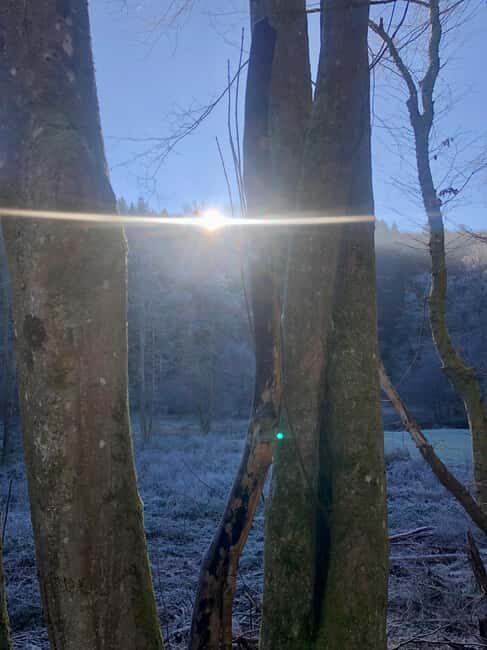 Boppard: Winter hike with punch and gingerbread - Deep Dive Into the Itinerary