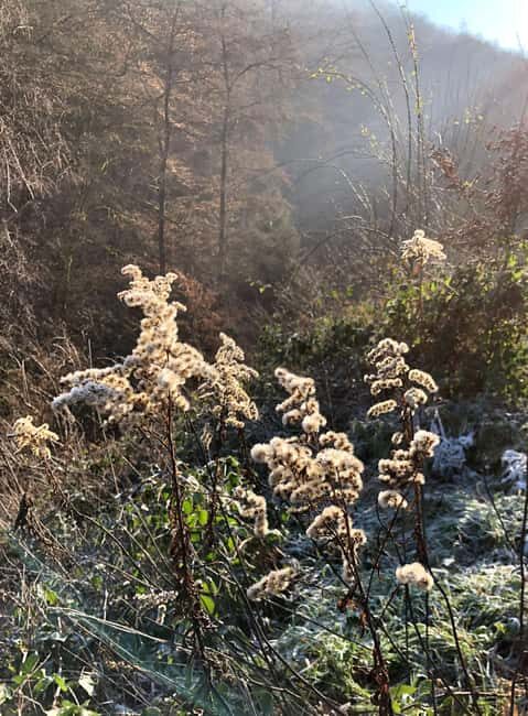 Boppard: Winter hike with punch and gingerbread - Wrapping It Up
