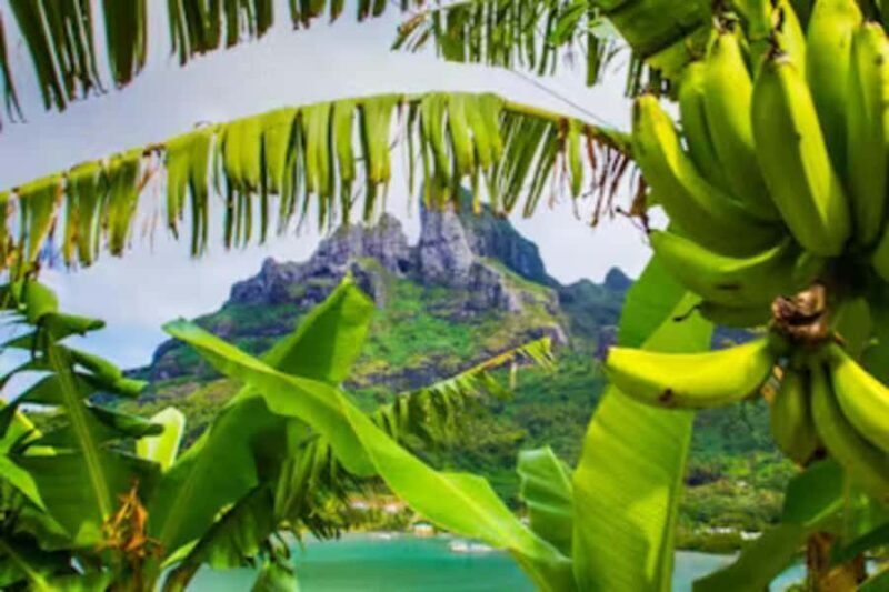Bora Bora: 4WD History & Culture Tour - Exploring the Tour Details