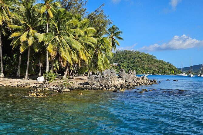 Bora Bora Complete tour of the lagoon in 2H - The Details: What to Expect from the Bora Bora Lagoon Tour