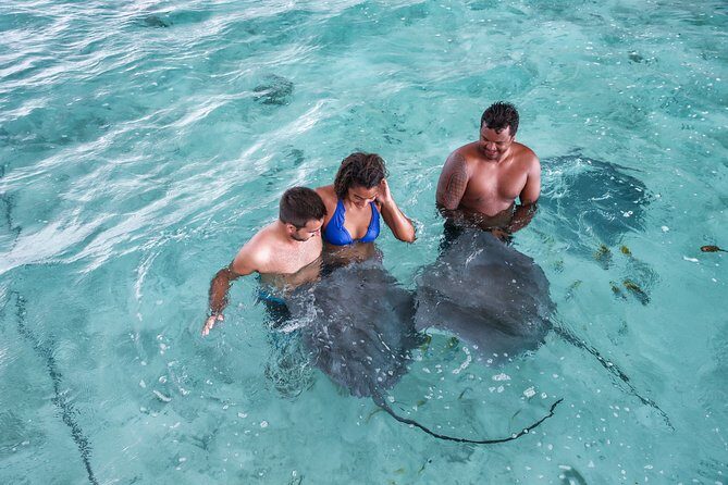 Bora Bora Eco Snorkel Cruise Including Snorkeling with Sharks and Stingrays - Who Is This Tour Best For?