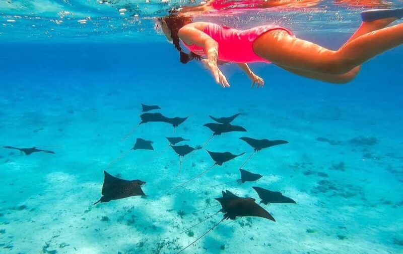 Bora Bora: Full day Lagoon Safari & Lunch on a Motu - ST - Group Size and Atmosphere