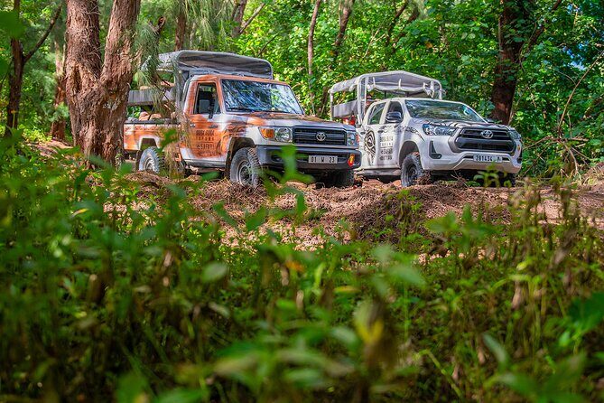 Bora Bora Half Day 4X4 Island Safari Tours - What to Expect from the Tour