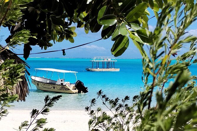 Bora Bora Half Day Snorkeling - The Reviews Speak for Themselves