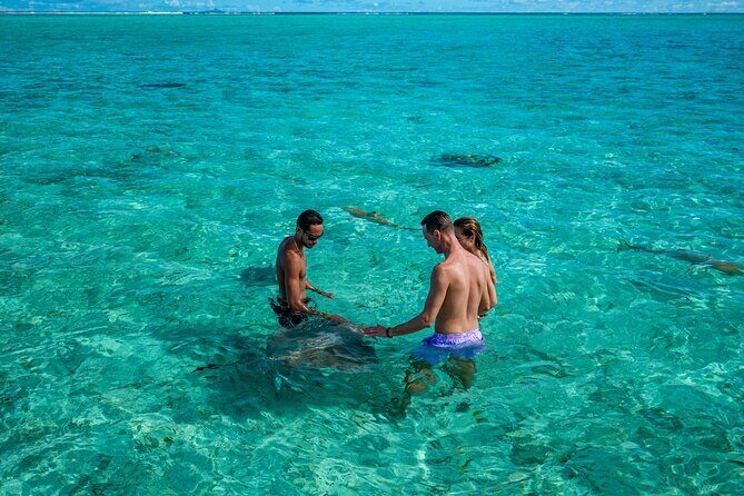 Bora Bora Half Day Snorkeling - Practical Details and Tips