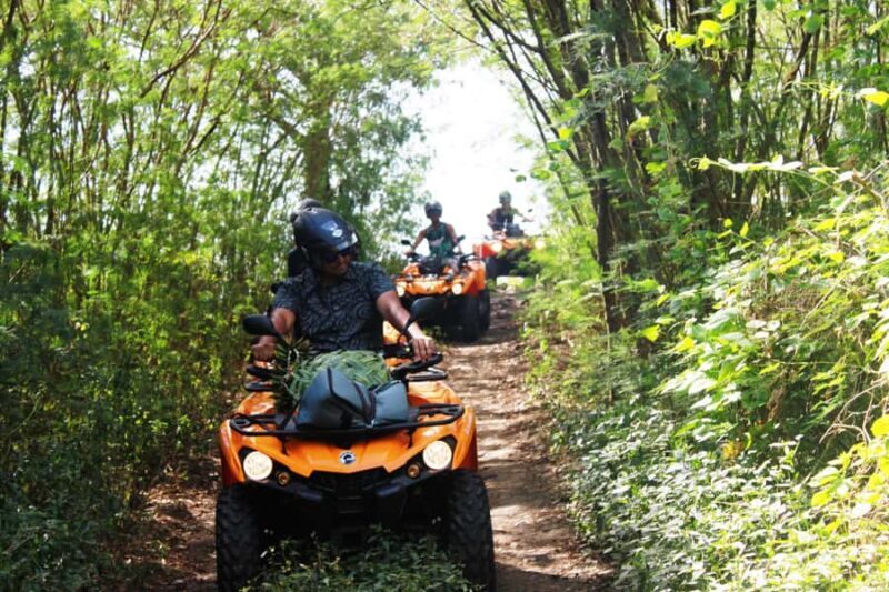 Bora Bora: Island Tour and Mountains Getaway by Quad Bike - Transportation and Group Dynamics