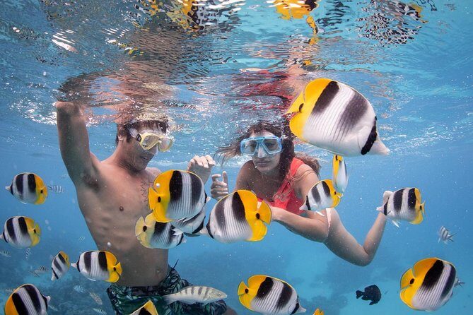 Bora Bora Jet Ski Tour, & Eco Shark / Ray Snorkel Cruise - What Makes This Tour Stand Out?