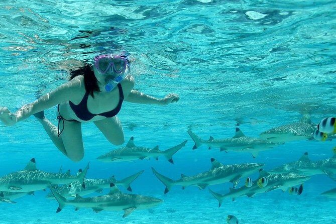 Bora Bora Jet Ski Tour, & Eco Shark / Ray Snorkel Cruise - FAQs About the Bora Bora Jet Ski & Snorkel Tour