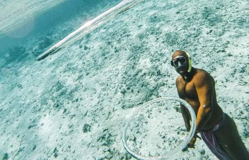 Bora Bora: Lagoon Snorkeling Half-Day Private Boat Tour - Key Points